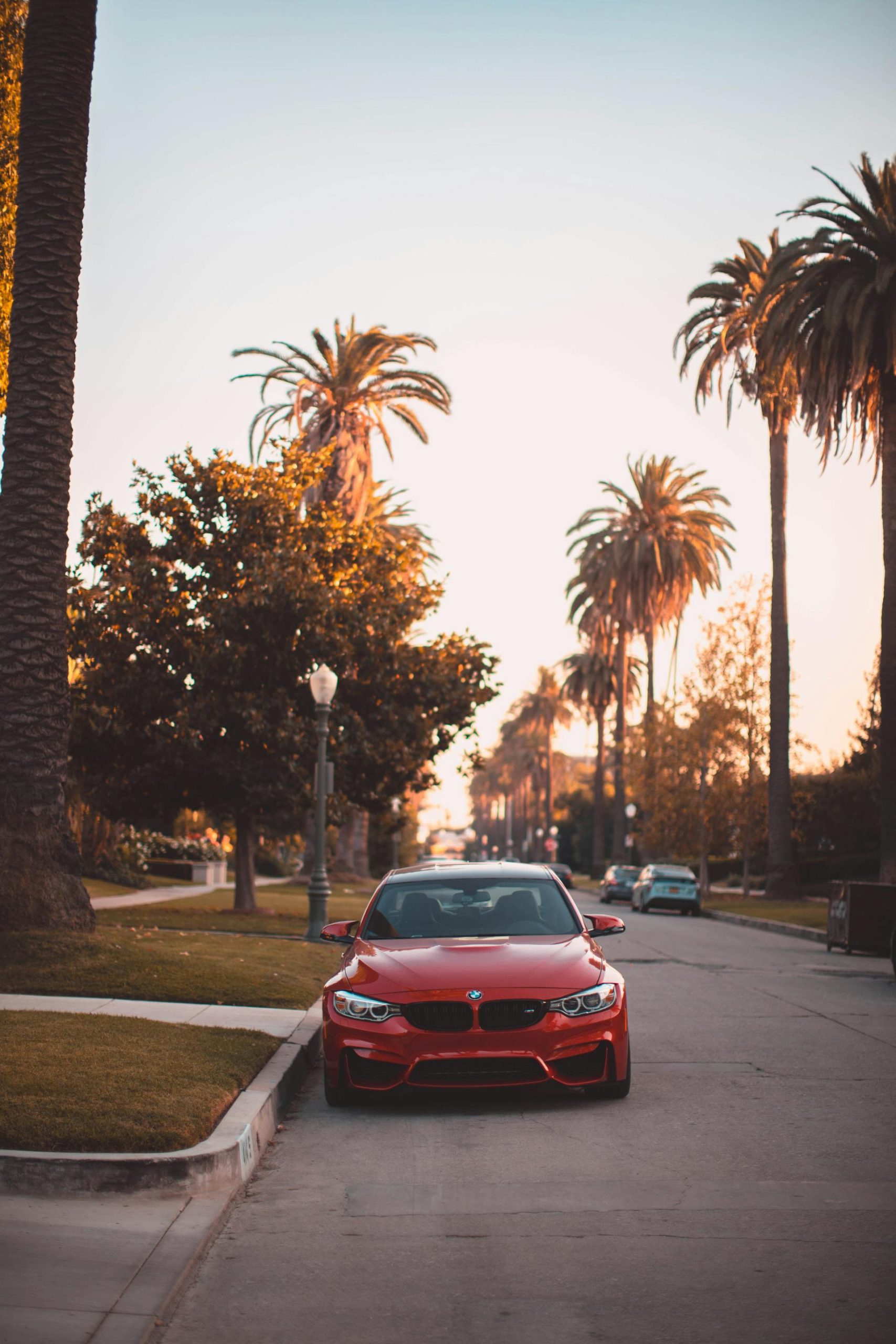 pexels-rpnickson-3166786
